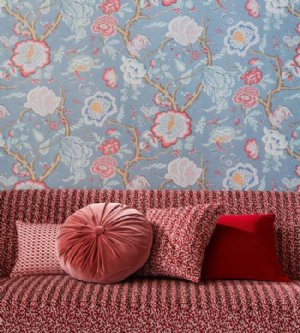 Viewing Apolline by Manuel Canovas